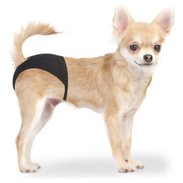 Duvo+ Schutzhose für Hunde XS 18-23 cm – Bild 1 von 2
