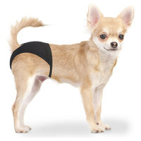 Produktbild von Duvo+ Schutzhose für Hunde XS 18-23 cm