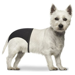 Duvo+ Schutzhose Hundewindel für Hunde Grösse S 24-31 cm – Bild 1 von 2