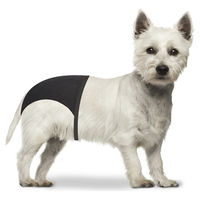 Produktbild von Duvo+ Schutzhose Hundewindel für Hunde Grösse S 24-31 cm
