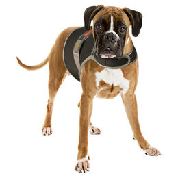 Duvo+ Sicherheitsmantel Fluo Flash USB für Hunde Schwarz Größe L wasserabweisend – Bild 1 von 2