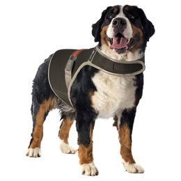 Duvo+ Sicherheitsmantel für Hunde mit USB-Beleuchtung und Reflektoren Schwarz XL aus wasserabweisendem Neopren – Bild 1 von 2