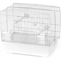 Produktbild von Duvo+ Vogelkäfig Natalia 1 Weiß aus Metall mit Maßen 40x25x35 cm für Vögel