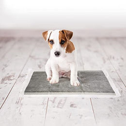Duvo+ Welpenunterlagen P-PAD Carbon für Hunde Größe M 30 Stück - 30 x 45 cm – Bild 1 von 6