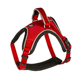 Produktbild von Duvoplus EXPLOR West Hundegeschirr wasserdicht Nylon Rot 40-50 cm