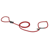Produktbild von Duvoplus Explorer Forest Dressurleine für Hunde aus Nylon in Rot 170 cm - 170 cm