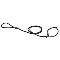 Produktbild von Duvoplus Explorer Forest Dressurleine für Hunde aus Nylon in Schwarz 170 cm - 170 cm