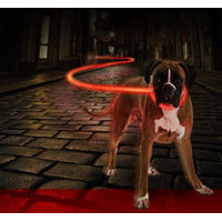 Produktbild von Duvoplus Flash Leuchthalsband für Hunde aus Silikon mit USB-Ladefunktion in Rot Größe L - 27 cm