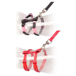 Duvoplus Set für Katzen mit Leine und Halsband mit weißen Kugeln Schwarz/Rot – Bild 1 von 5
