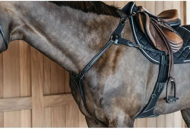 Produktbild von Dy'on 5-Punkt-Vorderzeug aus Leder mit Elastikeinsatz für Ponys in Schwarz