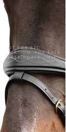 Produktbild von Dy'on Anatomischer Nasenriemen für Pferde mit Kette aus Leder in Schwarz
