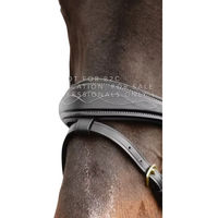 Produktbild von Dy'on Anatomischer Nasenriemen für Pferde mit Kette aus Leder in Schwarz