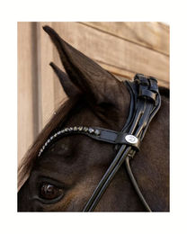 Dy´on Black Cob Kombinierte Trense ComfoHead aus Leder in Schwarz für Vollblut – Bild 1 von 8