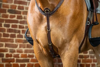 Dy'on D-Collection Vorderzeug mit Brücke aus Leder für Warmblut in Braun – Bild 1 von 3