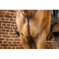 Produktbild von Dy'on D-Collection Vorderzeug mit Brücke aus Leder für Warmblut in Braun