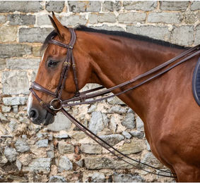 Dy'on DCollection Schlaufzügel aus Leder für Pferde Braun 13mm – Bild 1 von 2