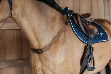 Dy'on Elastisches Plastron Vorderzeug NEC für Ponys aus Leder – Bild 1 von 2