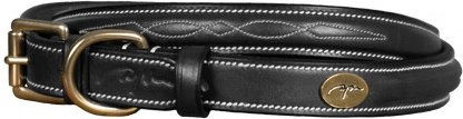 Produktbild von Dy'on Fancy Lederhalsband für Hunde in Schwarz Größe XS