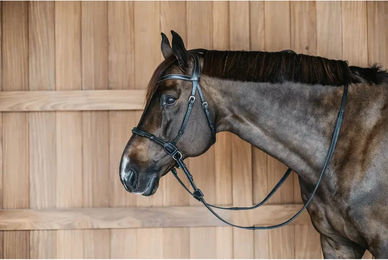 Dy'on Gebisslose anatomische Trense aus Leder für Warmblut in Schwarz oder Braun – Bild 1 von 2