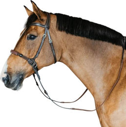 Dy'on Gebisslose anatomische Trense aus Leder in Braun für Warmblut – Bild 1 von 4