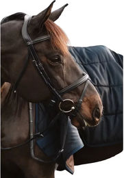 Produktbild von Dy'on Halbbarbe mit Ketten in Schwarz für Warmblut Pferde