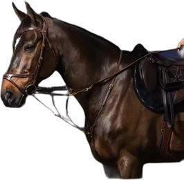 Produktbild von Dy'on Howlett Martingalgabel aus Leder in Braun für Ponys