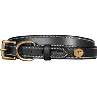 Produktbild von Dy'on Hundehalsband aus Leder Schwarz XL