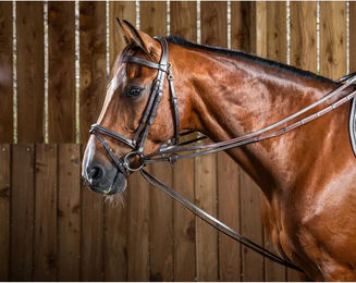 Produktbild von Dy'on Hunter Jagdschlaufzügel aus Leder für Pferde