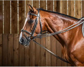 Produktbild von Dy'on Hunter Jagdschlaufzügel aus Leder für Ponys