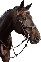 Produktbild von Dy'on Hybride elastische Nasenriemen für Pferde Braun Pony