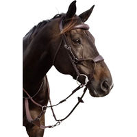 Produktbild von Dy'on Hybride elastische Nasenriemen für Pferde Braun Pony