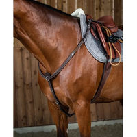 Produktbild von Dy'on Jagdhalsband für Pferde aus Leder in Braun
