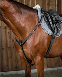 Produktbild von Dy'on Jagdhalsband für Pferde aus Leder in Schwarz