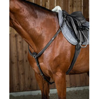 Produktbild von Dy'on Jagdhalsband für Pferde aus Leder in Schwarz