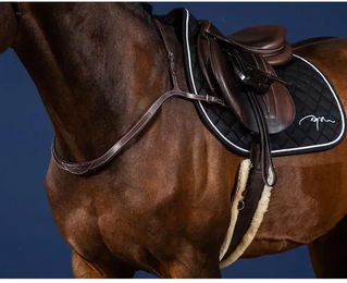 Produktbild von Dy'on Jagdhalsband und Martingal für Pferde aus Leder in Braun für Ponys