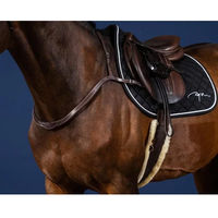 Produktbild von Dy'on Jagdhalsband und Martingal für Pferde aus Leder in Braun für Ponys