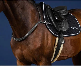 Produktbild von Dy'on Jagdhalsband und Martingal für Pferde aus Leder in Schwarz