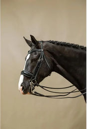 Dy'on Kandare Reithalfter Working Collection aus Leder Schwarz für Warmblut – Bild 1 von 4