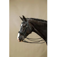 Produktbild von Dy'on Kandare Reithalfter Working Collection aus Leder Schwarz für Warmblut