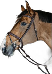 Dy'on Kombinierte geflochtene Nasenband-Trense aus Leder in Braun für Warmblut – Bild 1 von 2