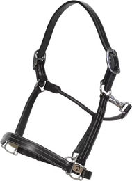 Dy'on Lederhalfter für Vollblut Pferde in Schwarz – Bild 1 von 5