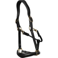 Produktbild von Dy'on Lederhalfter für Warmblut in Schwarz