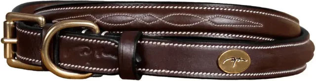 Produktbild von Dy'on Lederhalsband für Hunde in Braun Größe XL