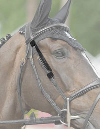 Dy´on Mini-Scheuklappen Focus für Ponys in Schwarz aus Leder FEI-zugelassen – Bild 1 von 3