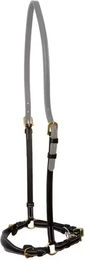 Produktbild von Dy'on Pferdehalfter niedrig mit Kette aus Leder in Schwarz für Warmblut