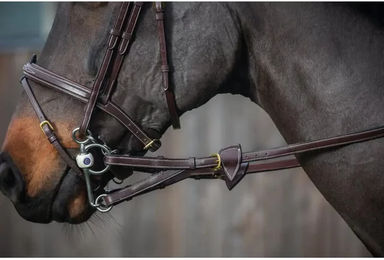 Produktbild von Dy'on Pferdezügel mit Gummiringen und 7 Kanten aus Leder in Braun für Ponys