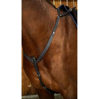 Produktbild von Dy'on Vorderzeug mit Brücke aus Leder für Ponys in Schwarz