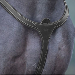 Produktbild von Dy'on Vorderzeug mit langer Brücke aus Leder in Schwarz