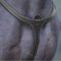 Produktbild von Dy'on Vorderzeug mit langer Brücke aus Leder in Schwarz
