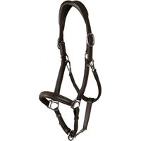 Produktbild von Dy'on Working Collection 2 in 1 Transport- und Stallhalfter aus Leder für Warmblut in Braun